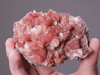 INESITE