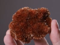 INESITE   with DATOLITE
