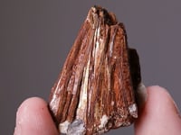 NIOBOPHYLLITE
