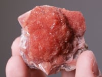 INESITE