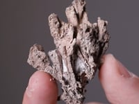 DYSCRASITE