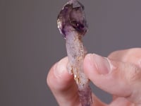 QUARTZ var. Sceptre Amethyst