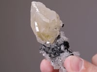 ROSCOELITE with CALCITE  and QUARTZ