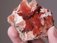 INESITE with ORLYMANITE