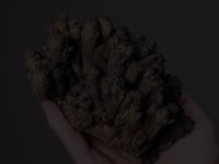 VANADINITE   with DESCLOIZITE