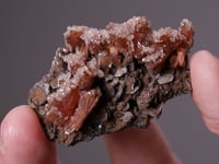 INESITE   with APOPHYLLITE