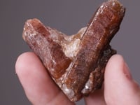 BUSTAMITE