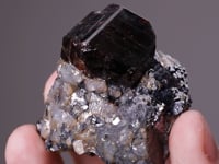 SPESSARTINE GARNET on GALENA