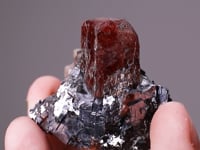 RHODONITE   in GALENA
