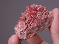 RHODONITE