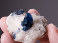 AFGHANITE