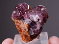 SPINEL   with CHONDRODITE