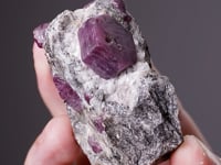 CORUNDUM var. RUBY (in Biotite-Sillimanite-Gneiss)