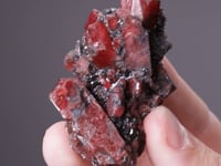 RHODONITE with GALENA