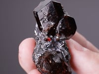 SPESSARTINE GARNET in GALENA