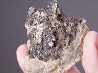 NATIVE SILVER