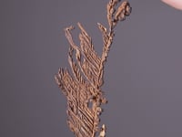 NATIVE COPPER