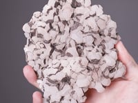 CALCITE with PYRITE