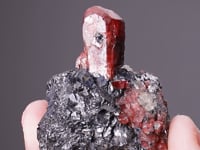 RHODONITE in GALENA