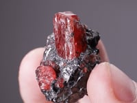 RHODONITE with GALENA