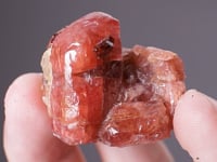 BUSTAMITE with SPESSARTINE GARNET