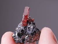 RHODONITE with GALENA