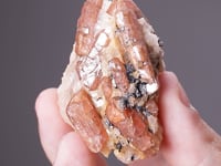 BUSTAMITE
