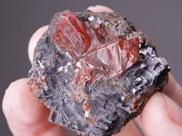 RHODONITE in GALENA