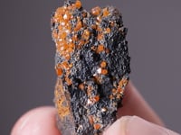 STOLZITE