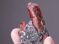 RHODONITE with GALENA