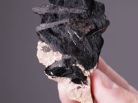 BANNISTERITE