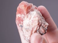 BUSTAMITE