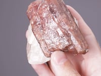 BUSTAMITE with CALCITE