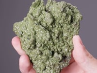MOTTRAMITE