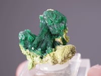 ZINCOLIVENITE with FERRILOTHARMEYERITE