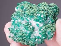 DIOPTASE with CONICHALCITE on CALCITE