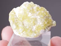 CADMIUM-rich WILLEMITE