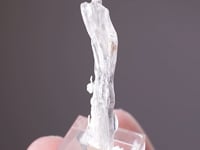 LEITEITE