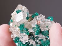 DIOPTASE    with CALCITE