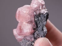 Cobatoan SMITHSONITE
