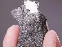 SCHAURTEITE