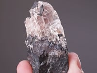 LEITEITE