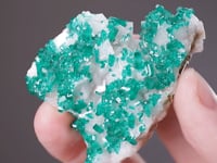 DIOPTASE  on CALCITE