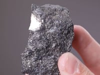 SCHAURTEITE