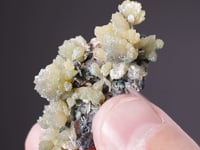 MIMETITE with WULFENITE
