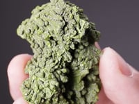MOTTRAMITE
