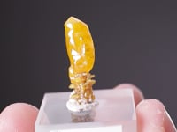 MIMETITE with WULFENITE