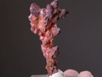 CUPRITE var. CHALCOTRICHITE on COPPER