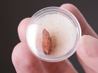LUDLOCKITE