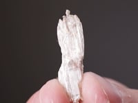 LEITEITE